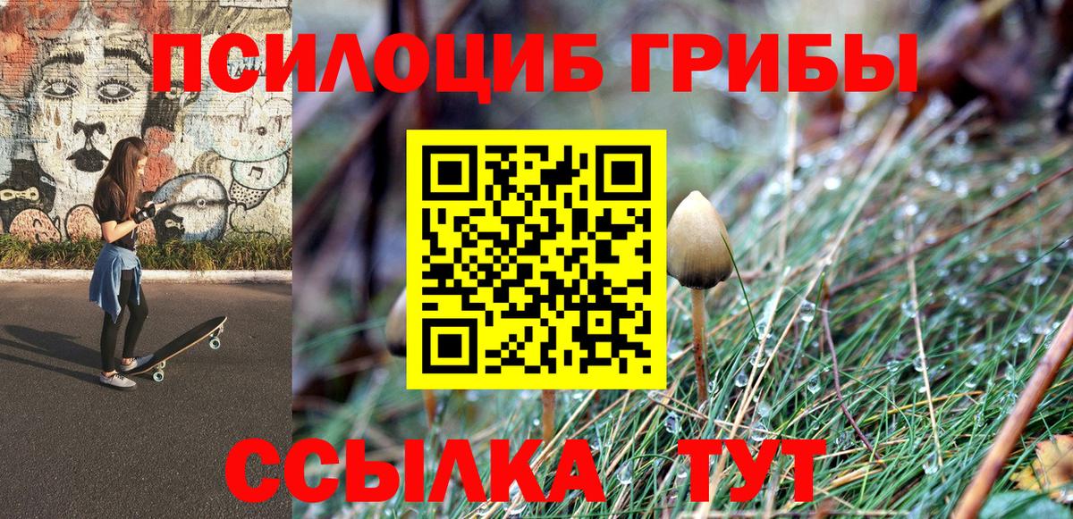 Галлюциногенные грибы GOLDEN TEACHER  Вход с VPN  где найти   Котлас 